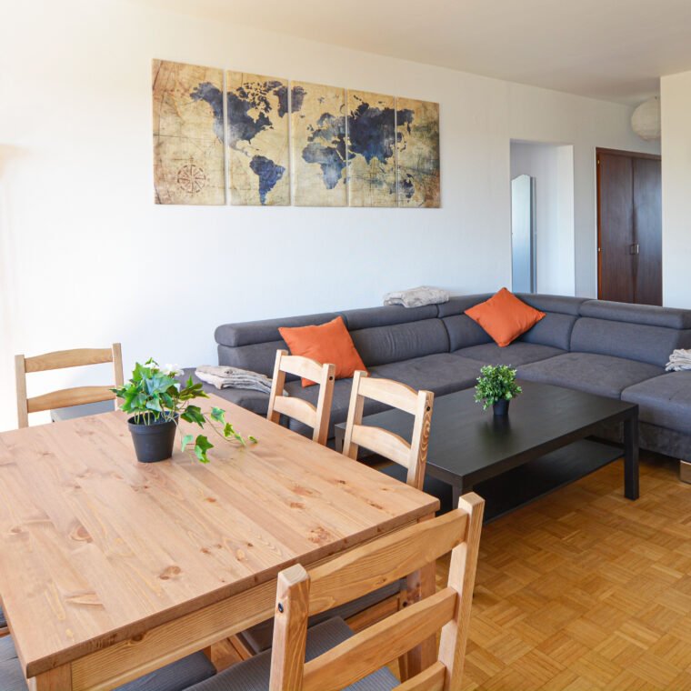 Salon après rénovation - appartement ancien Strasbourg